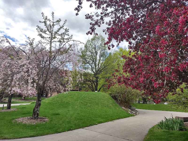 The University of Montana campus photo 4