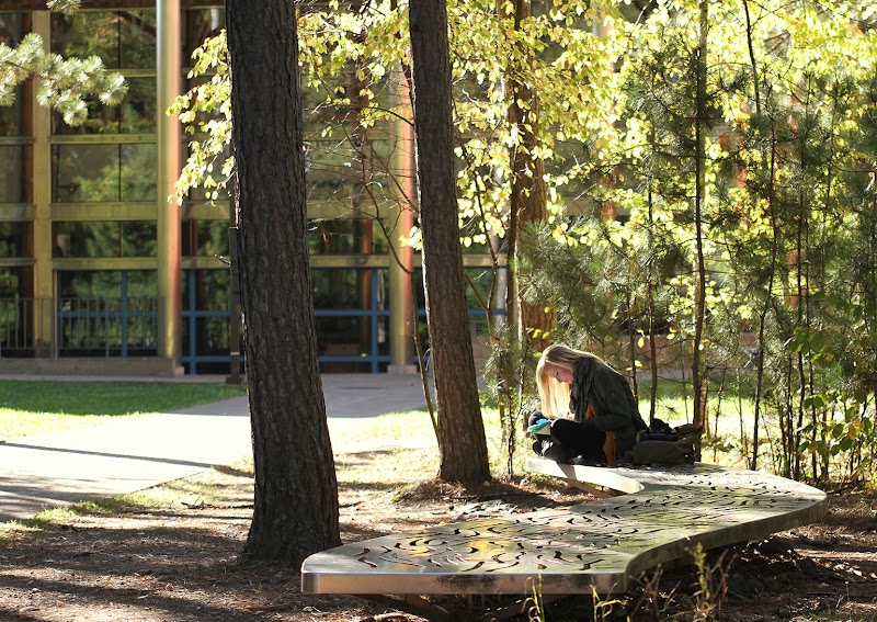 Fond du Lac Tribal and Community College campus photo 2