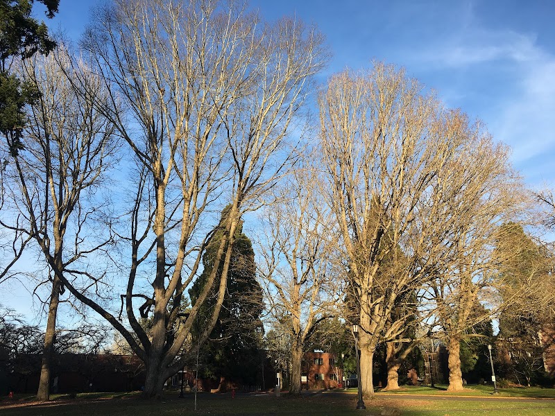 Reed College campus photo 2