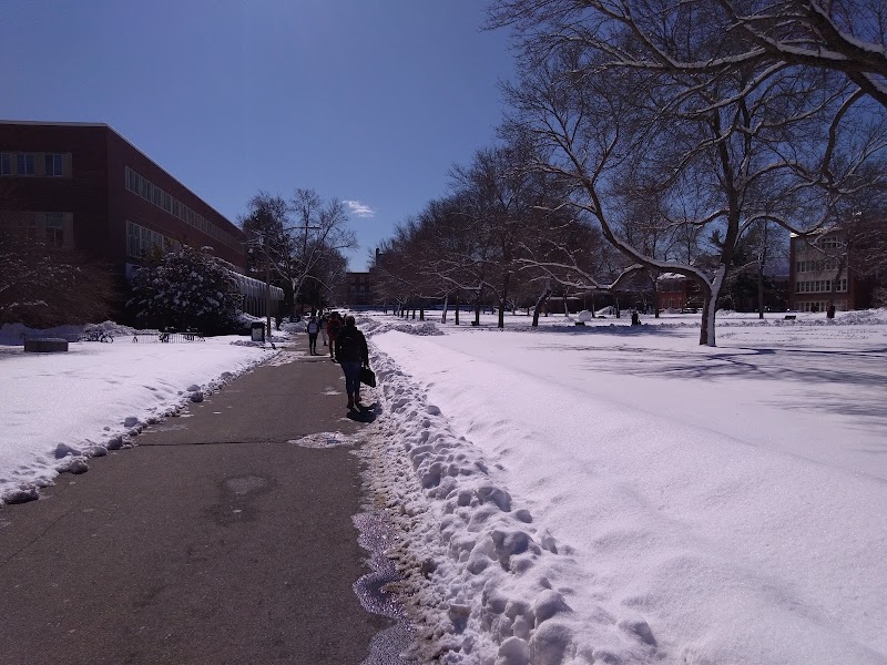 University of Maine campus photo 4