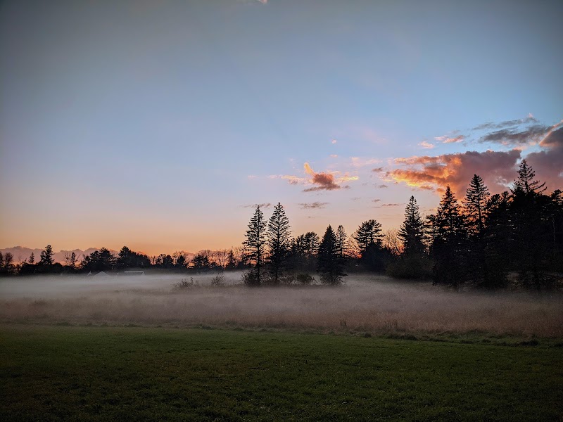 University of Maine campus photo 5