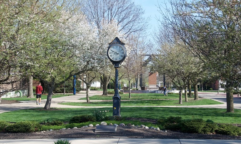 The University of Findlay campus photo 3