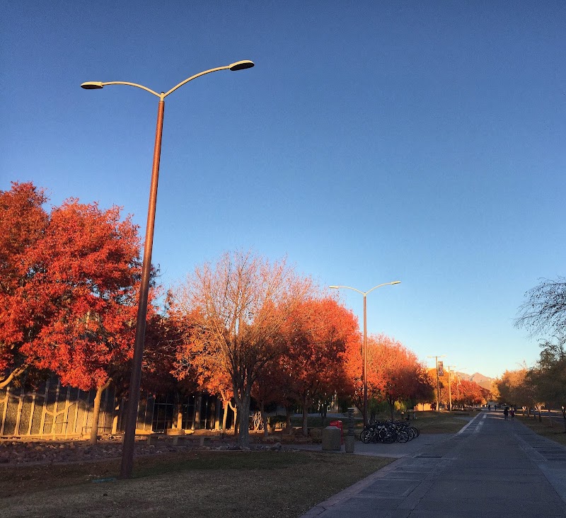 New Mexico State University-Main Campus campus photo 5