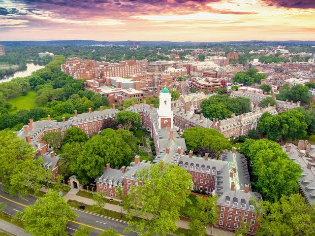 Harvard University campus photo 4