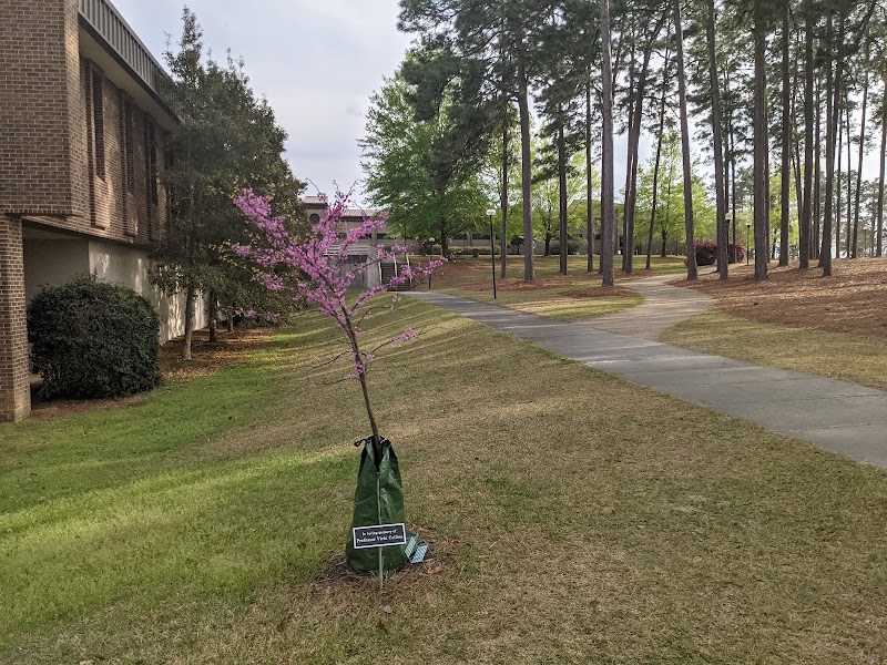 University of South Carolina Aiken campus photo 2