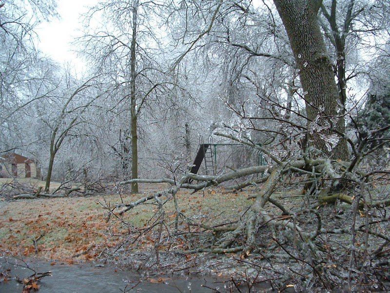 Bethel College-North Newton campus photo 3