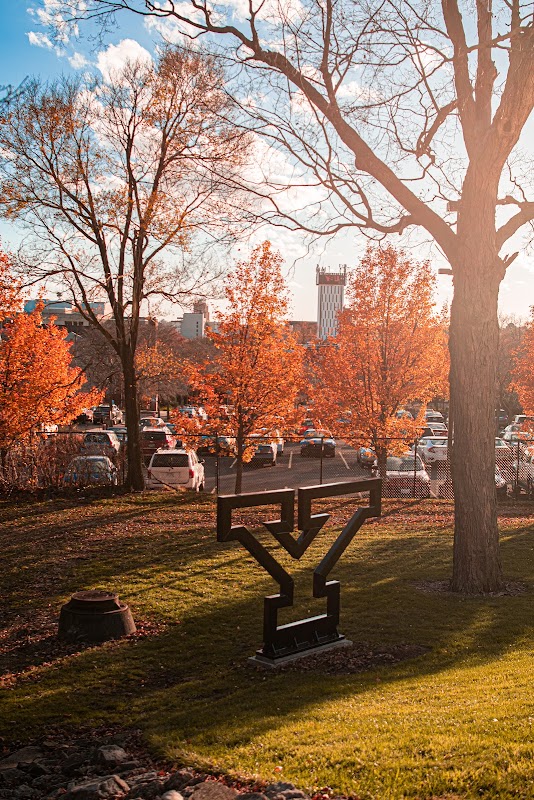 Youngstown State University campus photo 2