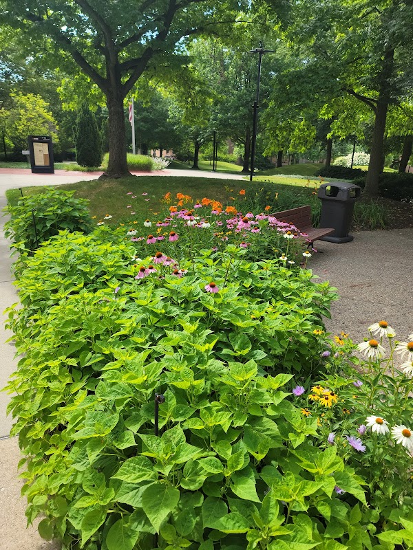 Youngstown State University campus photo 5