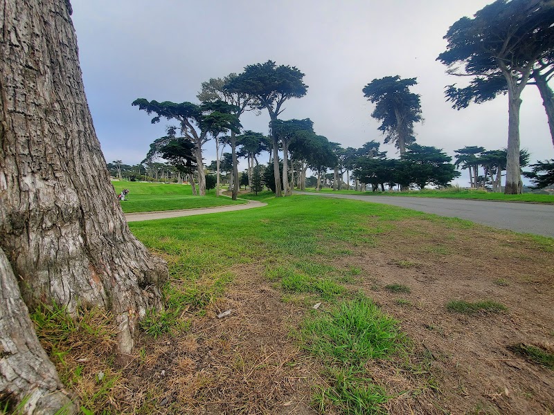 California College of the Arts campus photo 5