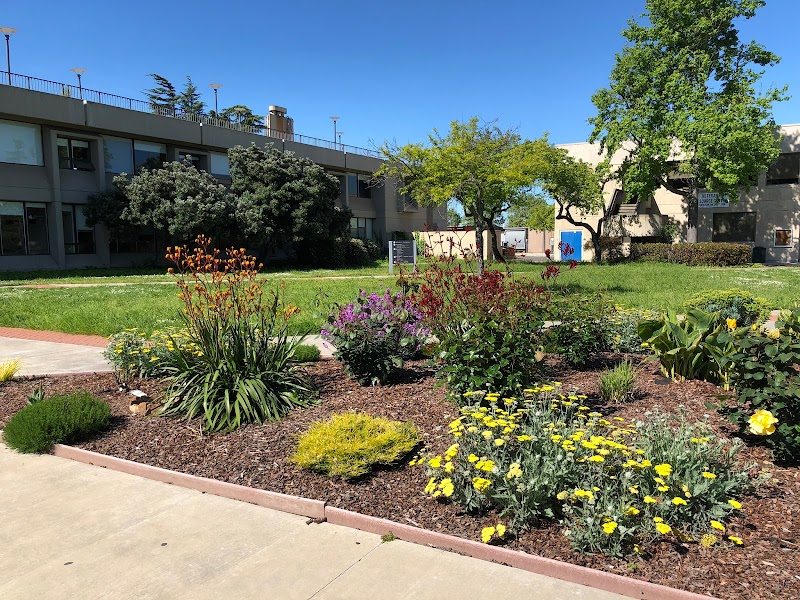 College of Alameda campus photo 5