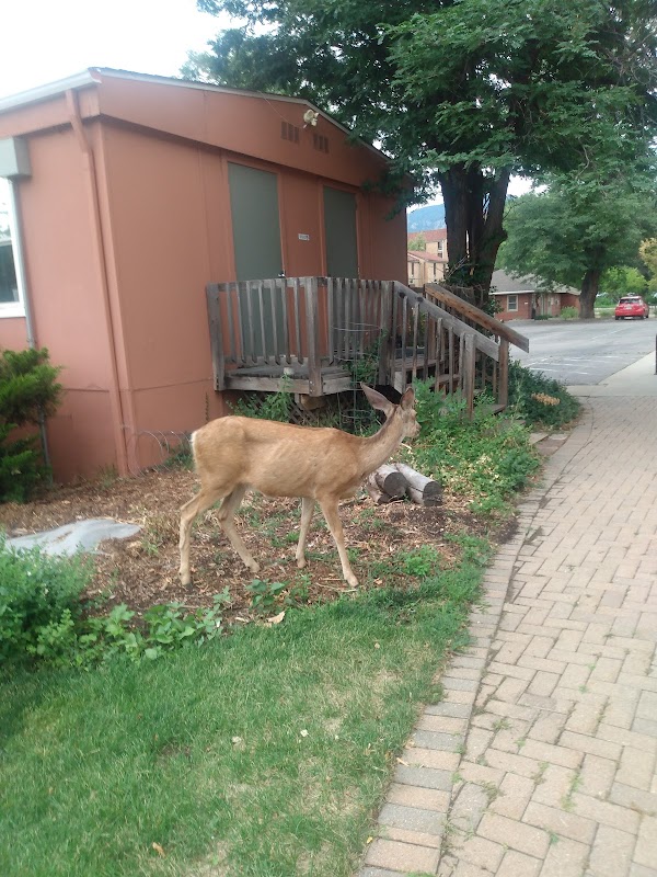 Naropa University campus photo 4