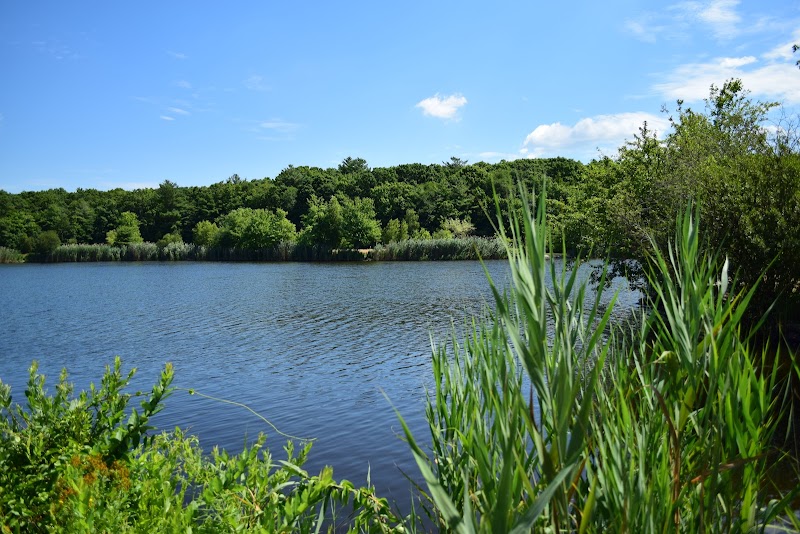 Bristol Community College campus photo 5