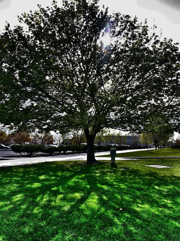 Big Bend Community College campus photo 2