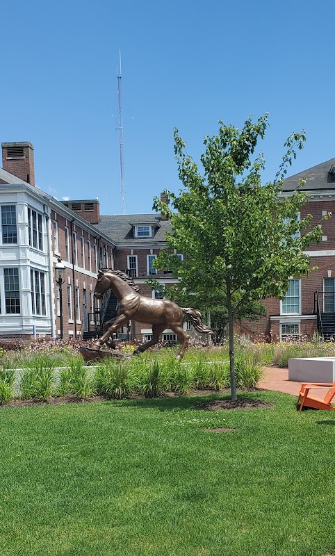 University of New Haven campus photo 2