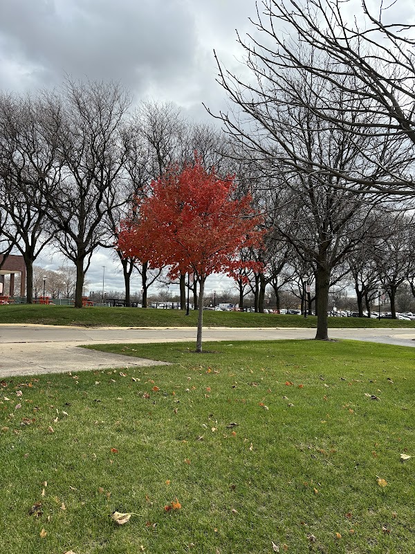 Morton College campus photo 3