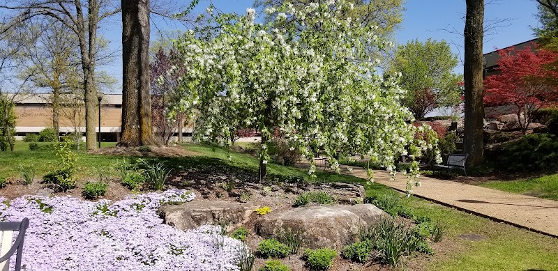 Mineral Area College campus photo 1