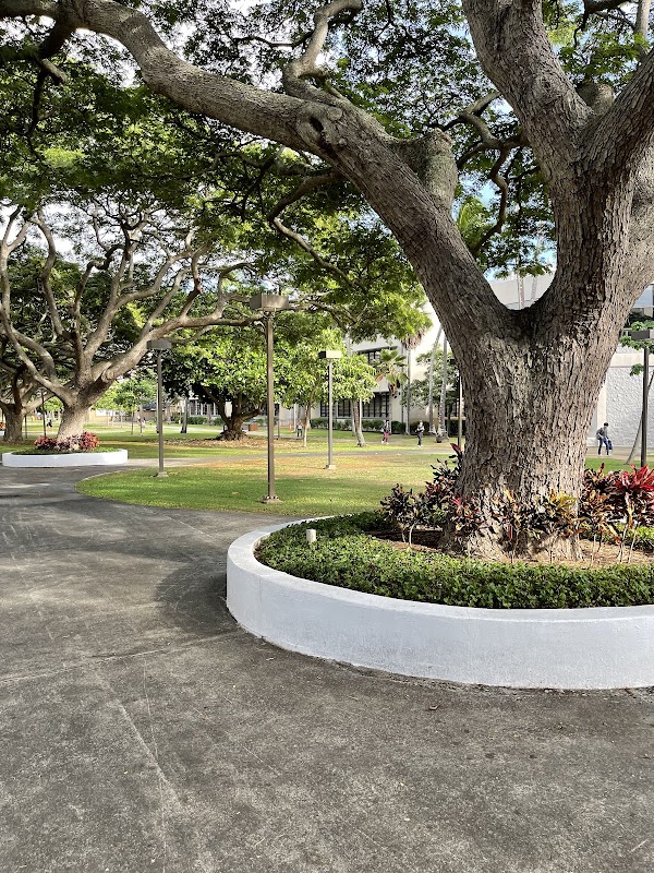 University of Hawaii at Manoa campus photo 4