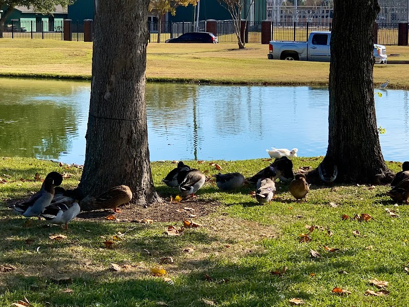 Lamar University campus photo 5