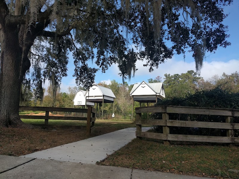 University of Florida campus photo 5