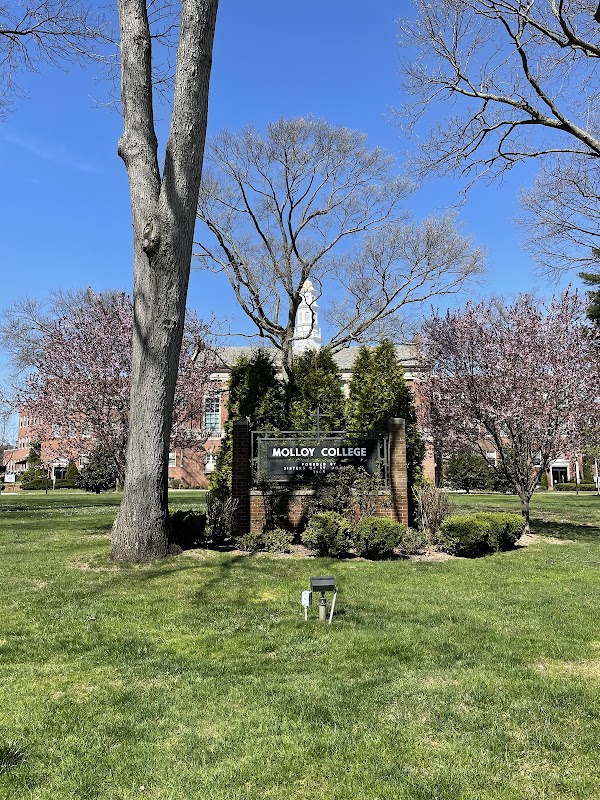 Molloy College campus photo 4