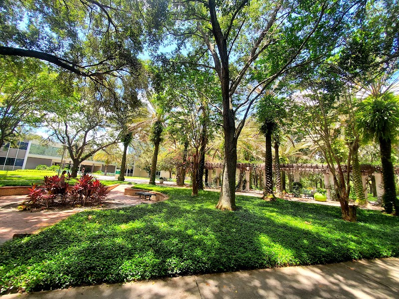 University of South Florida campus photo 2