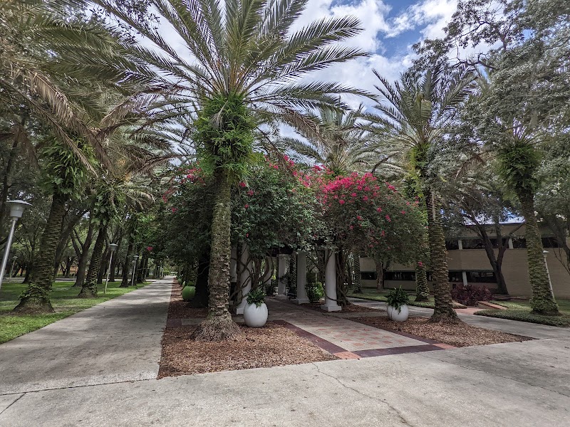 University of South Florida campus photo 3