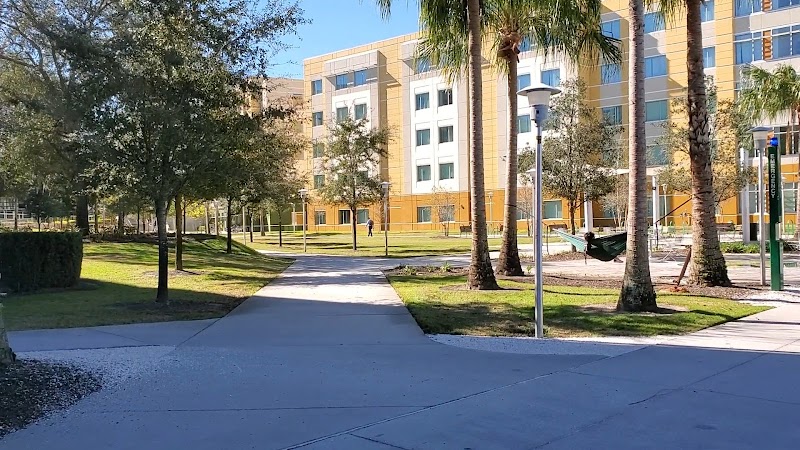 University of South Florida campus photo 4