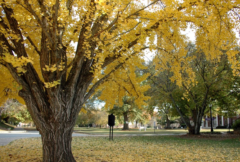 Wesleyan College campus photo 5