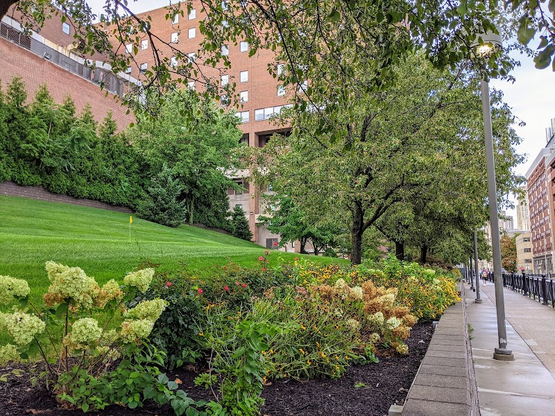 Carlow University campus photo 2