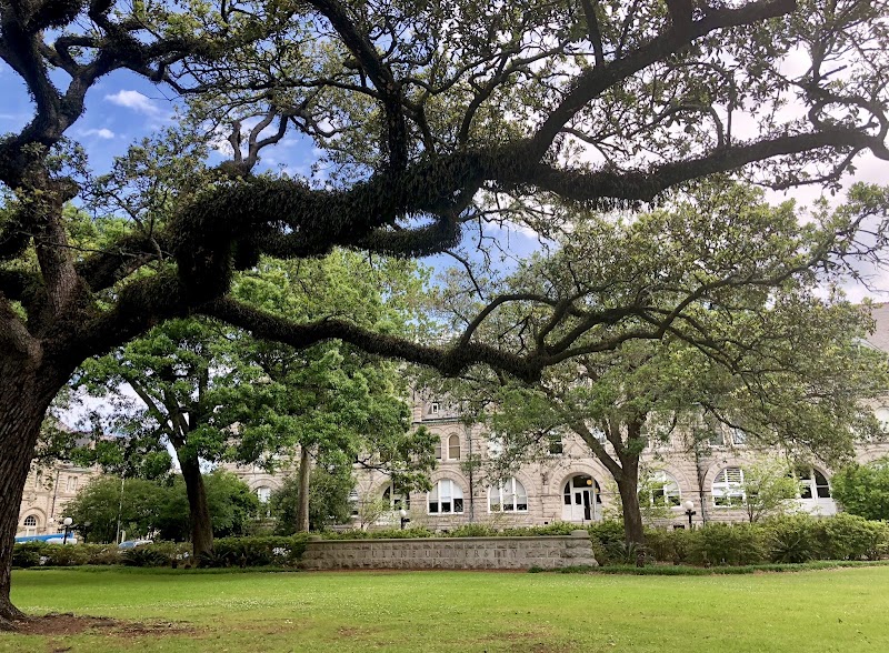 Tulane University of Louisiana campus photo 4