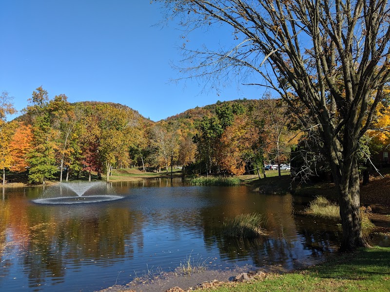 Quinnipiac University campus photo 4