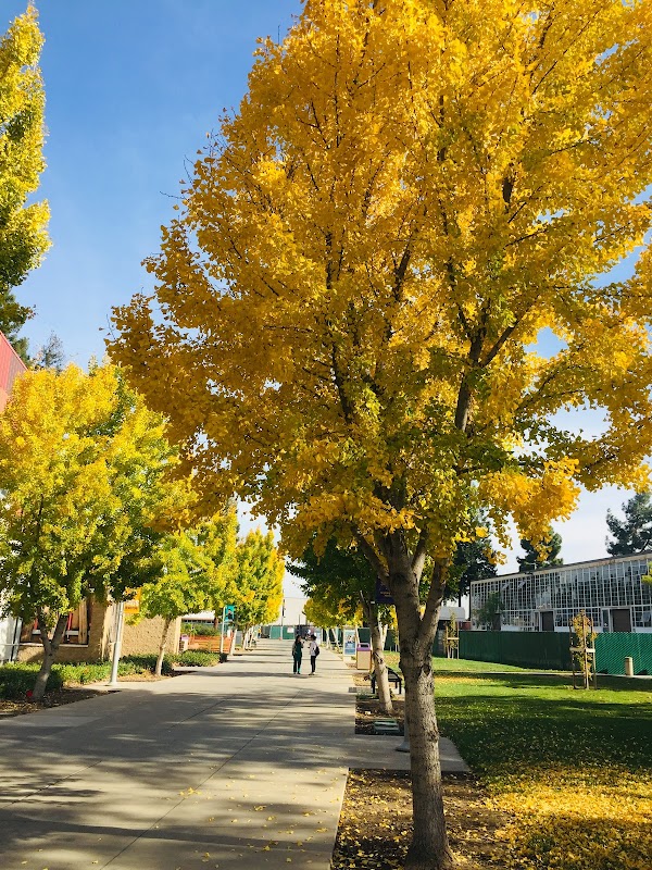San Jose City College campus photo 3