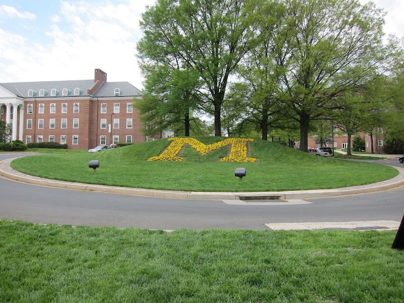 University of Maryland-College Park campus photo 4