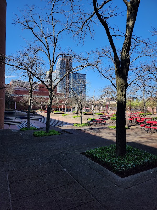 CUNY York College campus photo 5