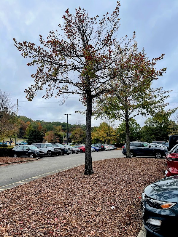 Jefferson State Community College campus photo 5