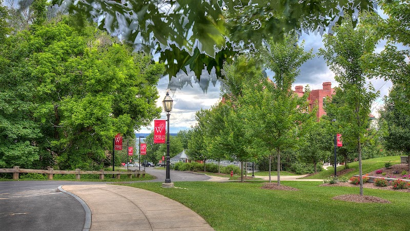 Wells College campus photo 4