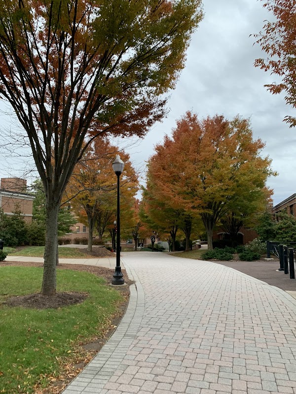 Commonwealth University of Pennsylvania campus photo 4