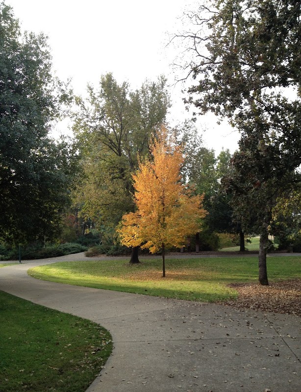 Shasta College campus photo 5