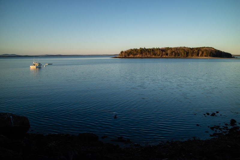 College of the Atlantic campus photo 3