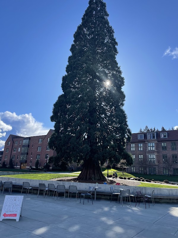 University of Puget Sound campus photo 3