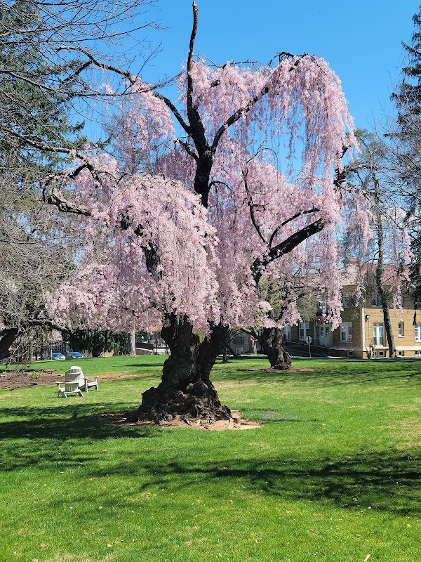 Cedar Crest College campus photo 3