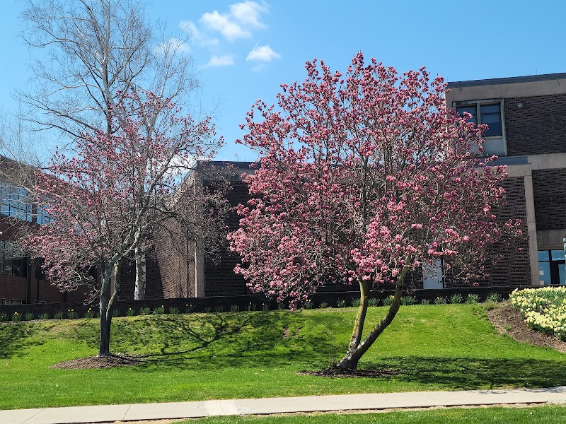 University of Hartford campus photo 4