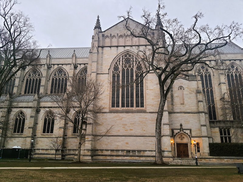 Princeton University campus photo 3