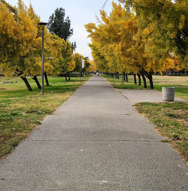 California State University-Stanislaus campus photo 1