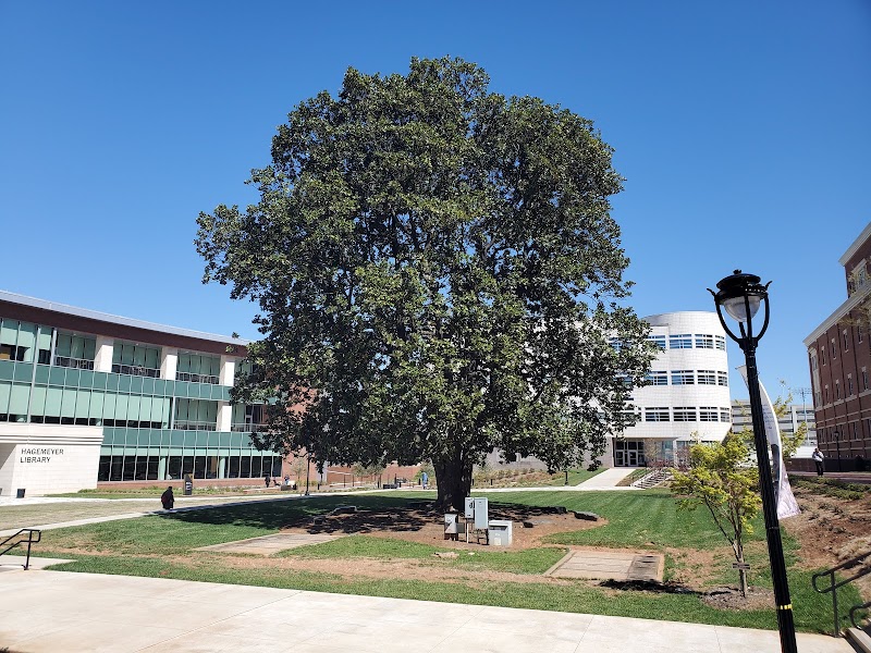 Central Piedmont Community College campus photo 5