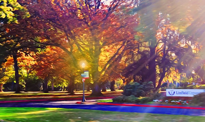 Linfield University campus photo 4