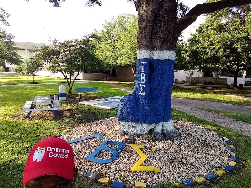 Texas Southern University campus photo 2