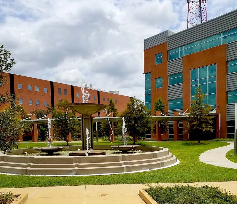 Texas Southern University campus photo 3