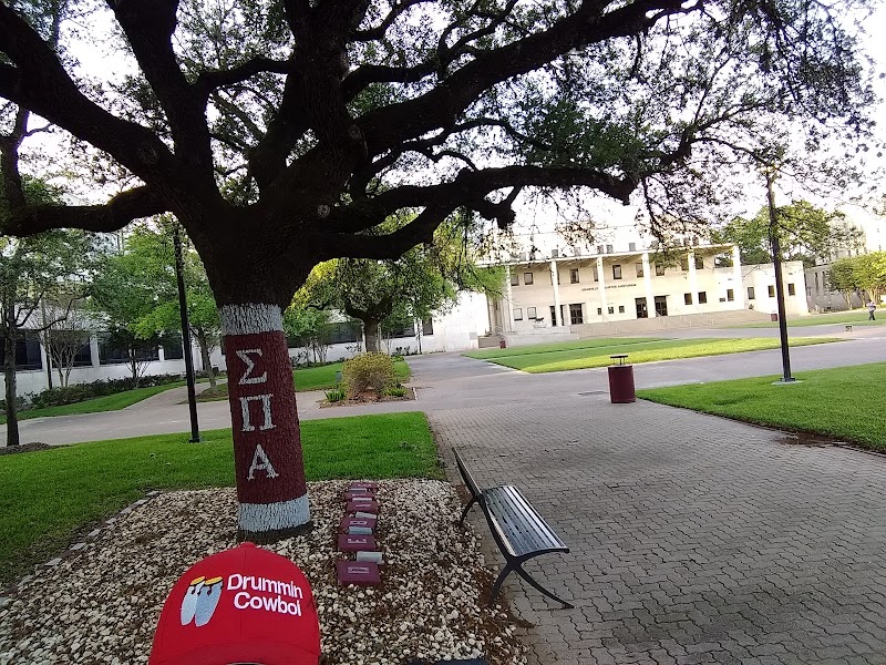 Texas Southern University campus photo 4