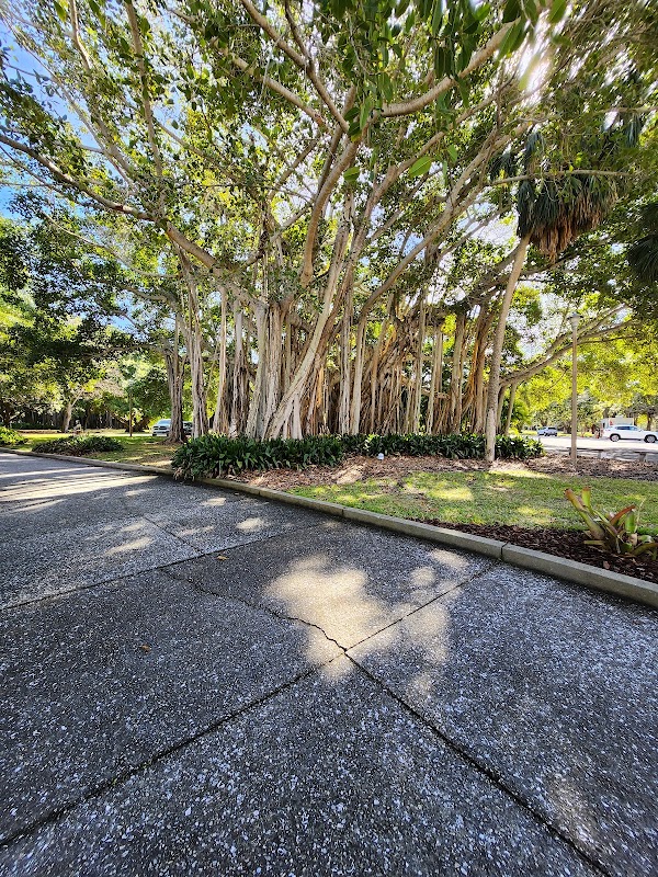 Ringling College of Art and Design campus photo 4